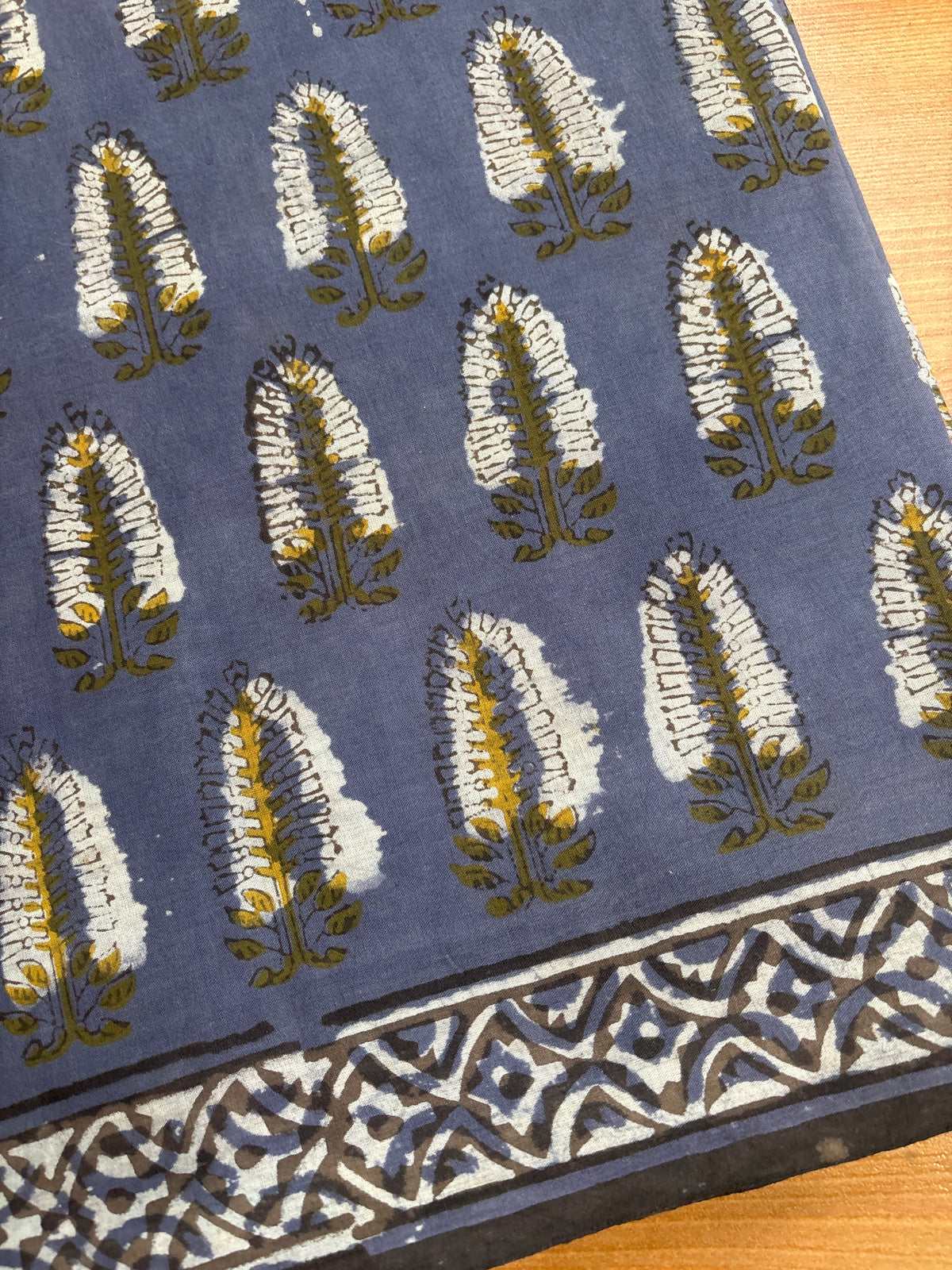 Natural Dyed block printed Mul Saree DWS22