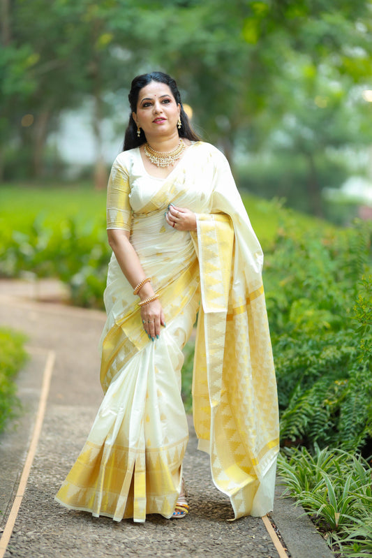 Sarvani Kerala Cotton woven designer pattern Set Saree