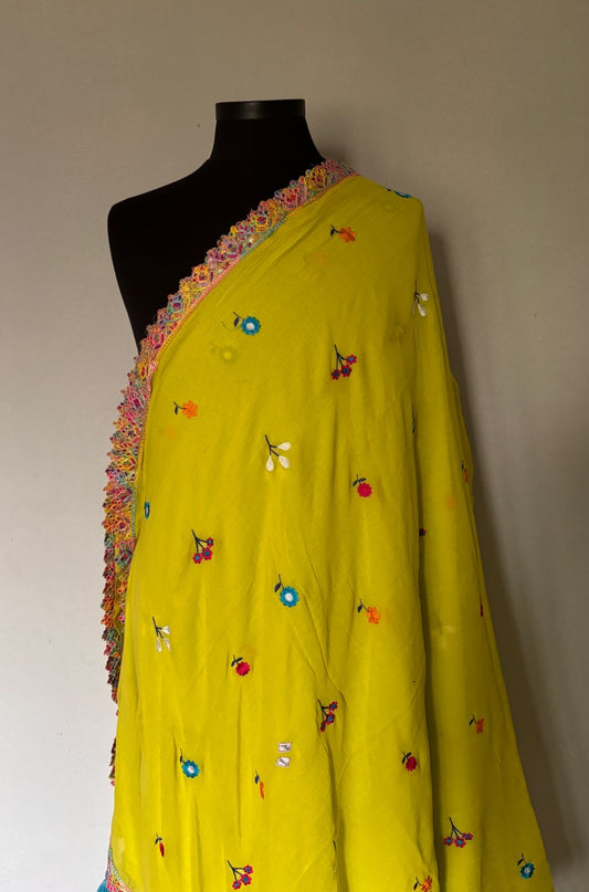 Viharika (विहारिका) Embroidery Lace Sarees : Green & Blue