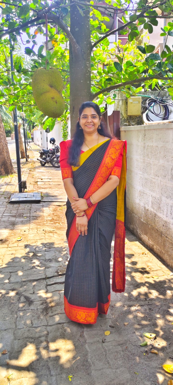 Black zari checks mustard maroon Ganga Jamuna Sungudi Handloom Cotton Saree