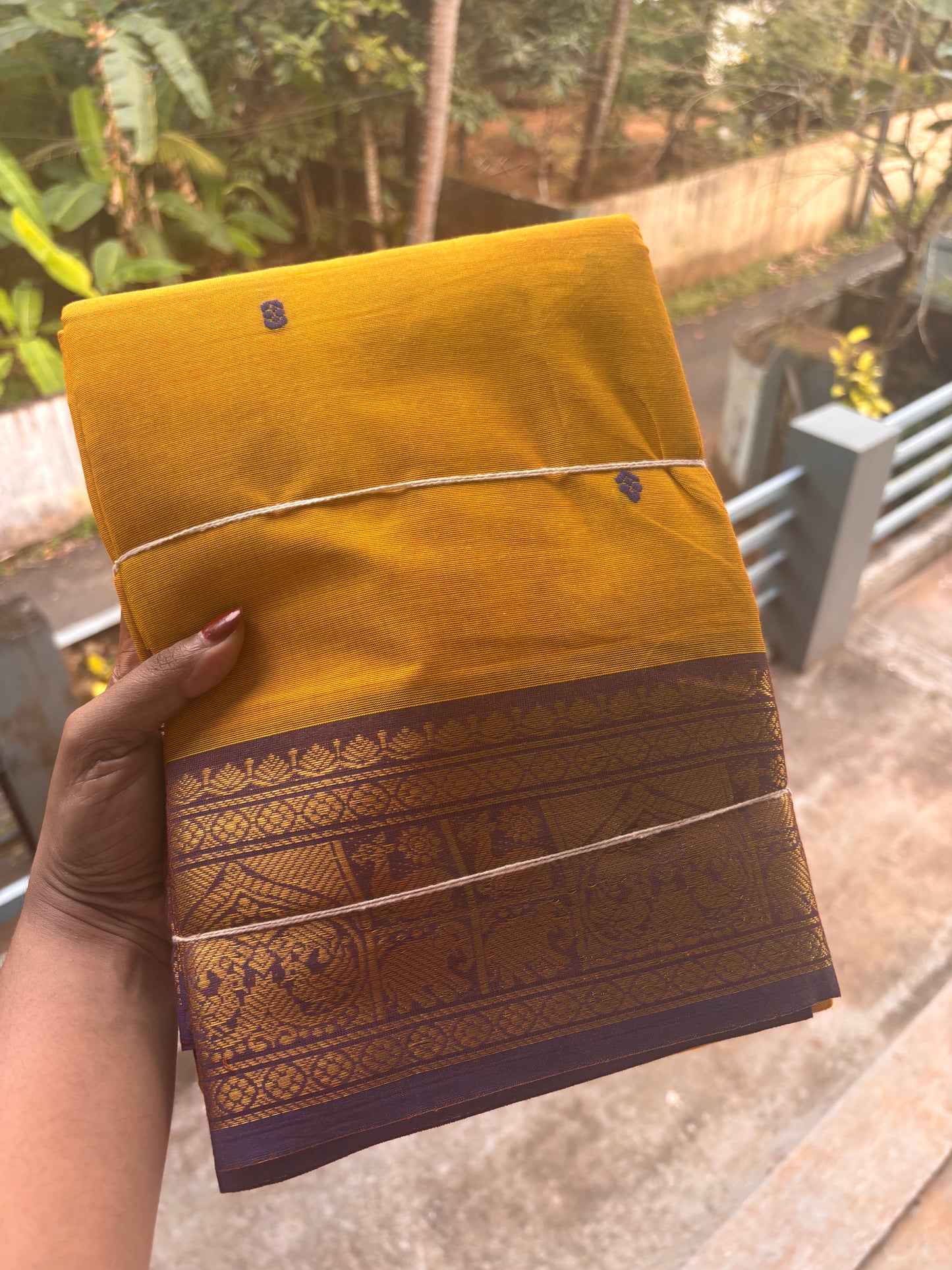 Kanchi cotton saree with contrast border and buttas