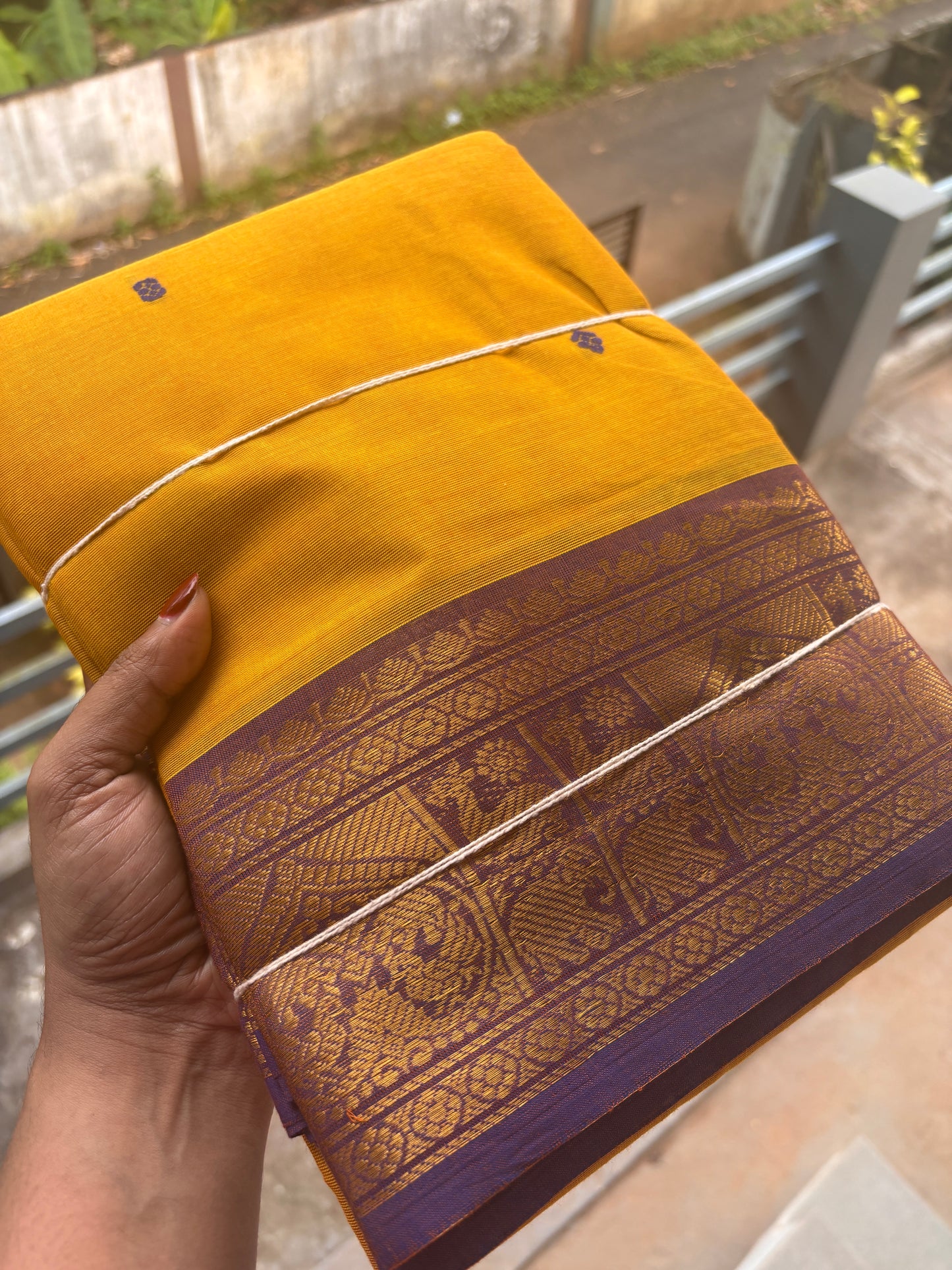 Kanchi cotton saree with contrast border and buttas
